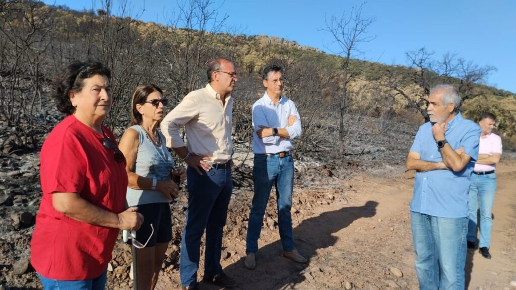 pazzis alcalde