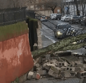 El temporal golpea Cáceres con árboles caídos, cubiertas arrancadas y un despliegue municipal sin precedentes destrozo