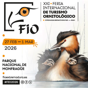 FIO 2026 BANNER 300X300