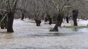 Digital Extremadura borrasca 2