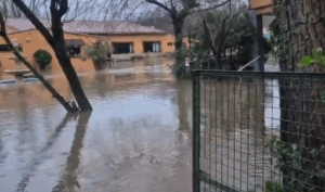 Última hora | El temporal Leonardo obliga a evacuar La Bazana y Valuengo ante el riesgo real de una gran avenida del Ardila camping la chopera