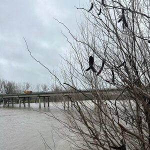 Marta provoca en Extremadura evacuaciones, carreteras cortadas y ríos desbordados coria
