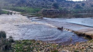 Digital Extremadura cuartos del bano 1