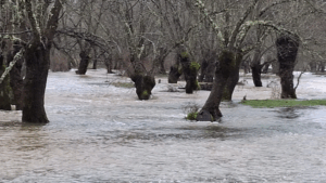 Digital Extremadura inundacion 1