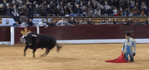 Talavante, Emilio de Justo y Roca Rey coronan la Feria del Toro de Olivenza 2026 olivenza 2