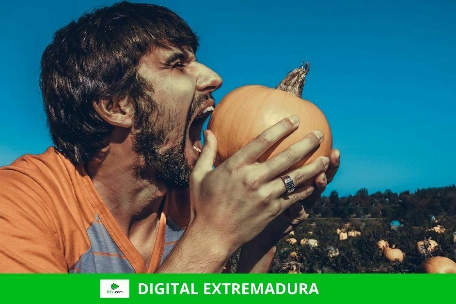 20 ideas para emprender en el mundo rural y ayudas en Extremadura para hacerlo
