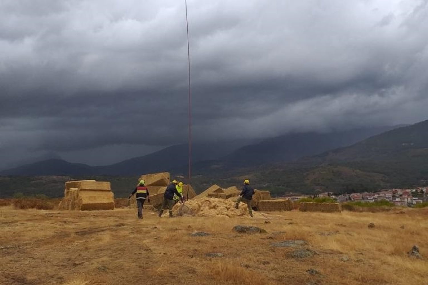 20201214_restauracion_forestal