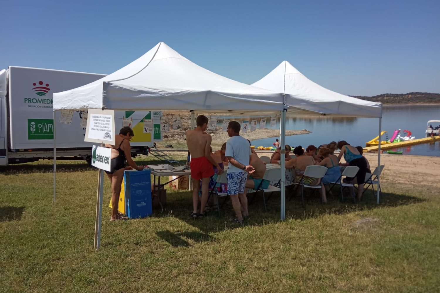Actividad de Adenex y Promedio en Cheles.