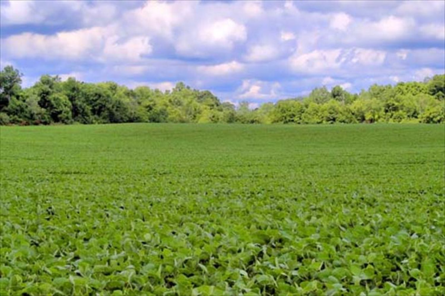 Agroinformacion.com31122012_91039