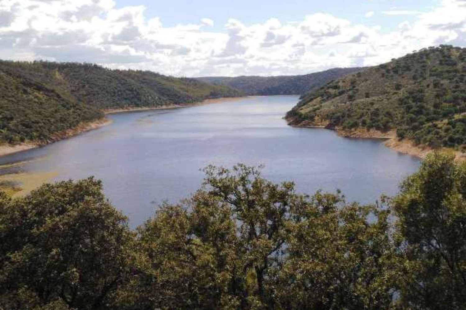 El helecho Azolla, desaparece de MOnfragüe