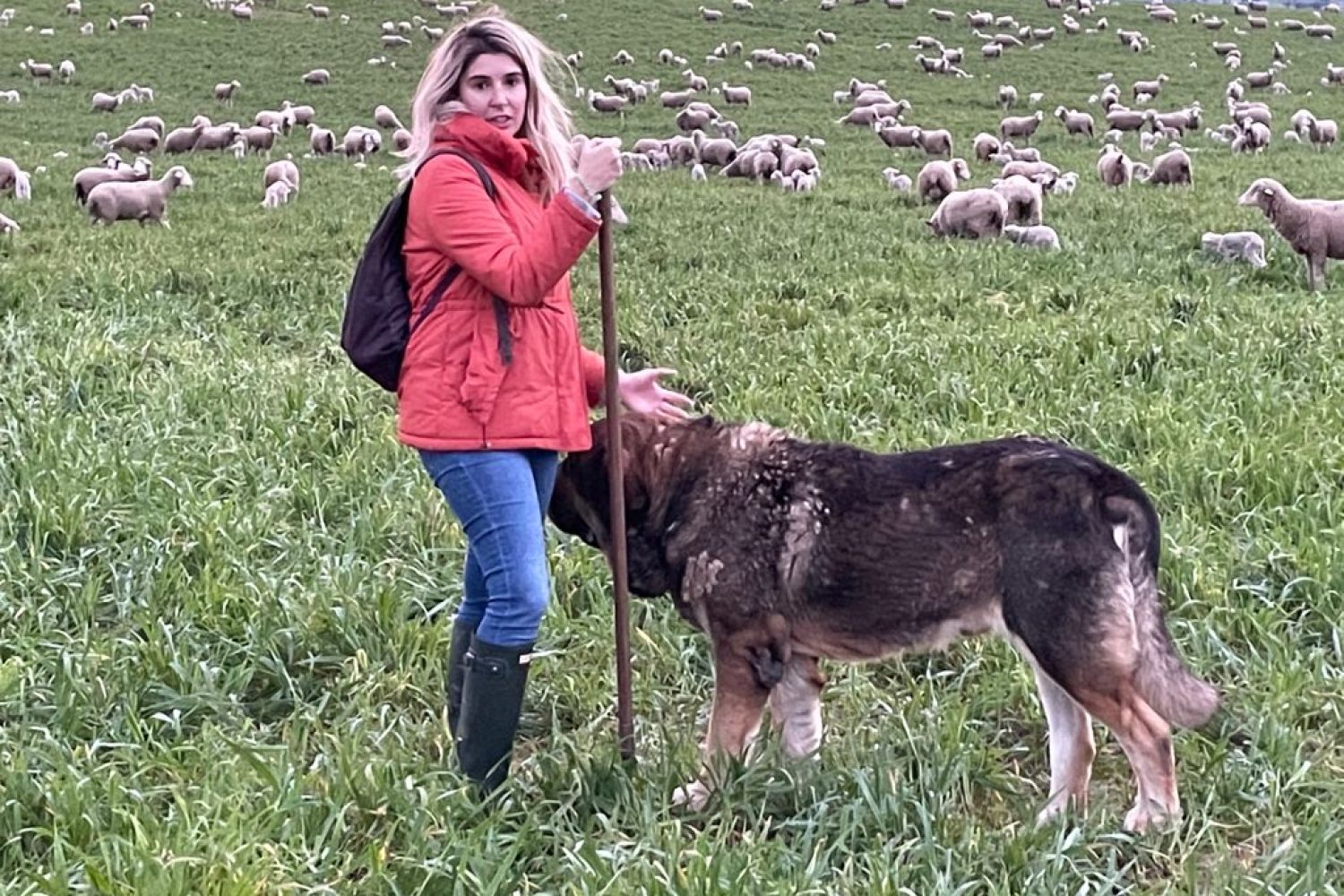CAMINO LIMIA