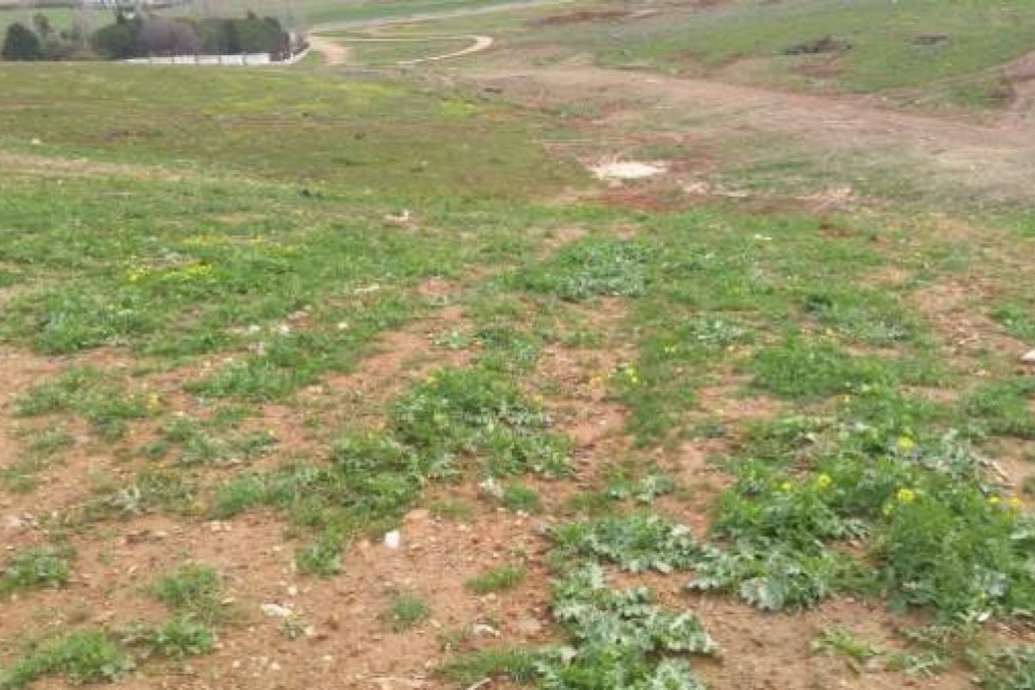 CAMPO DEGRADADO