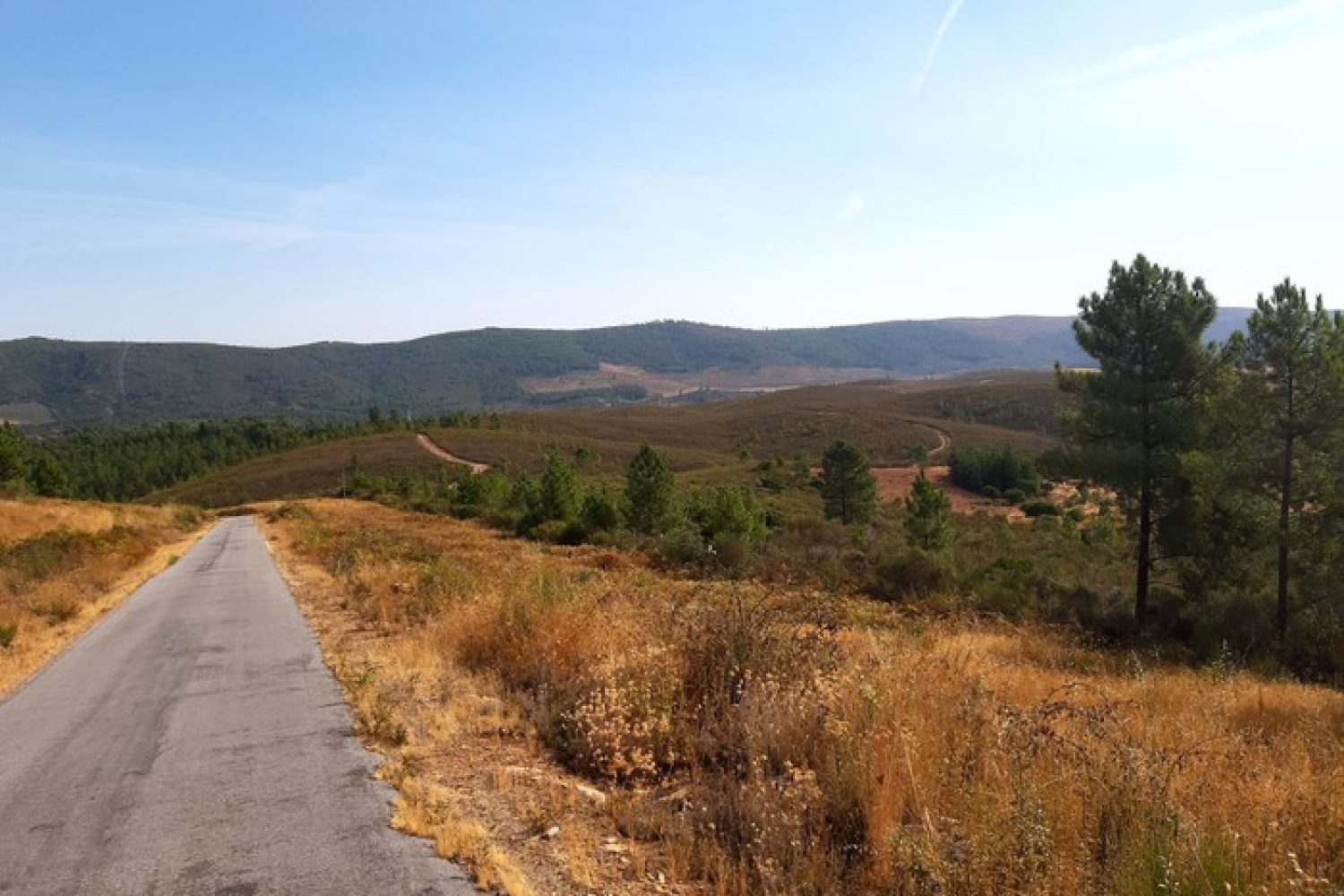 CARRETERA