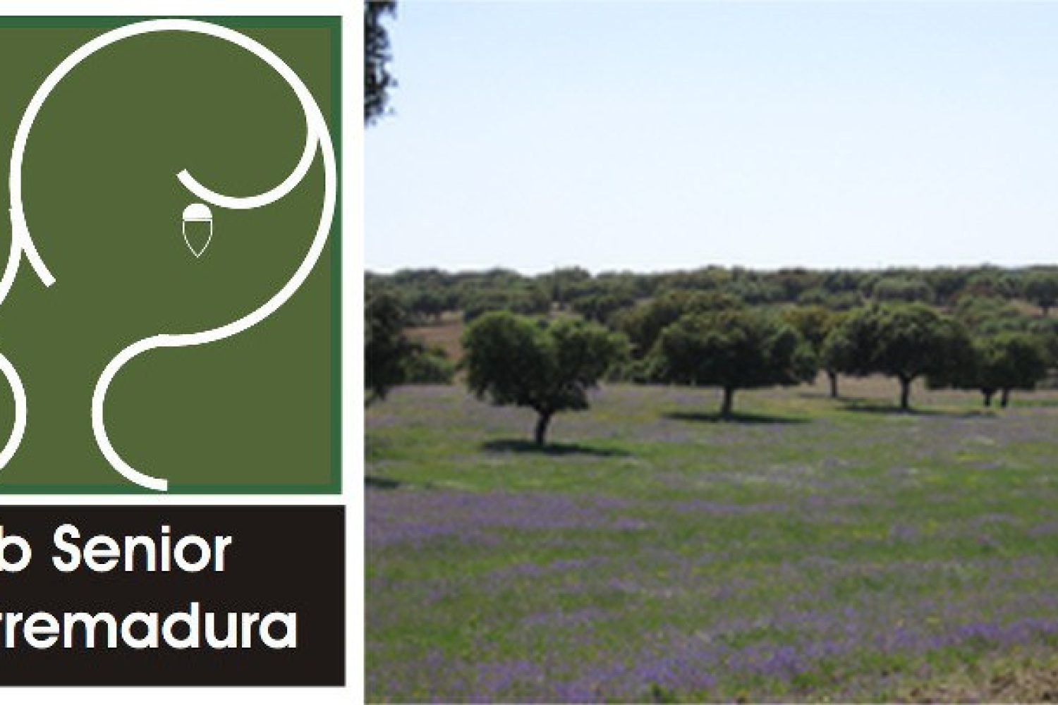 CLUB SENIOR EXTREMADURA
