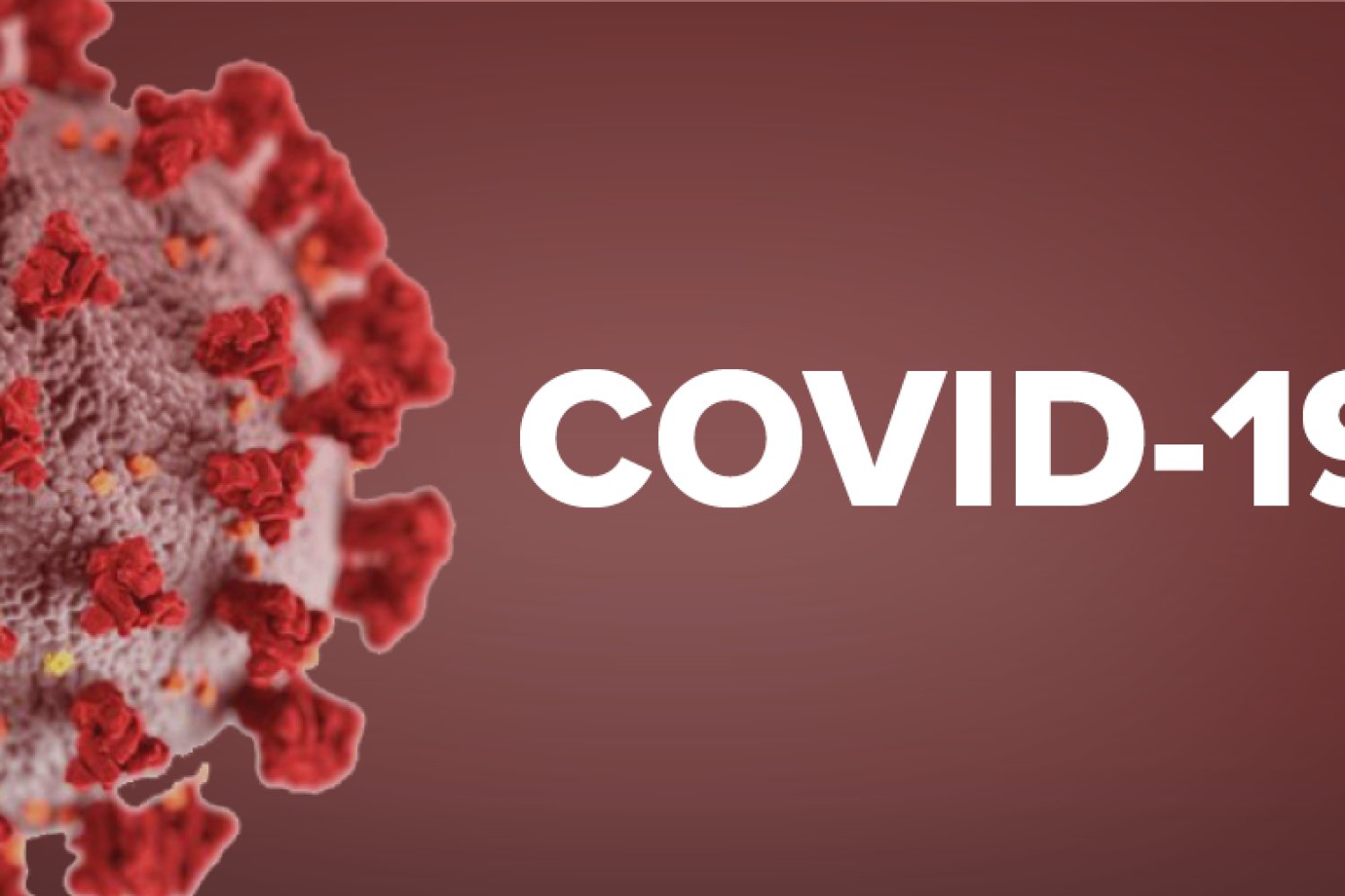 COVID-19 (2) (002)_0