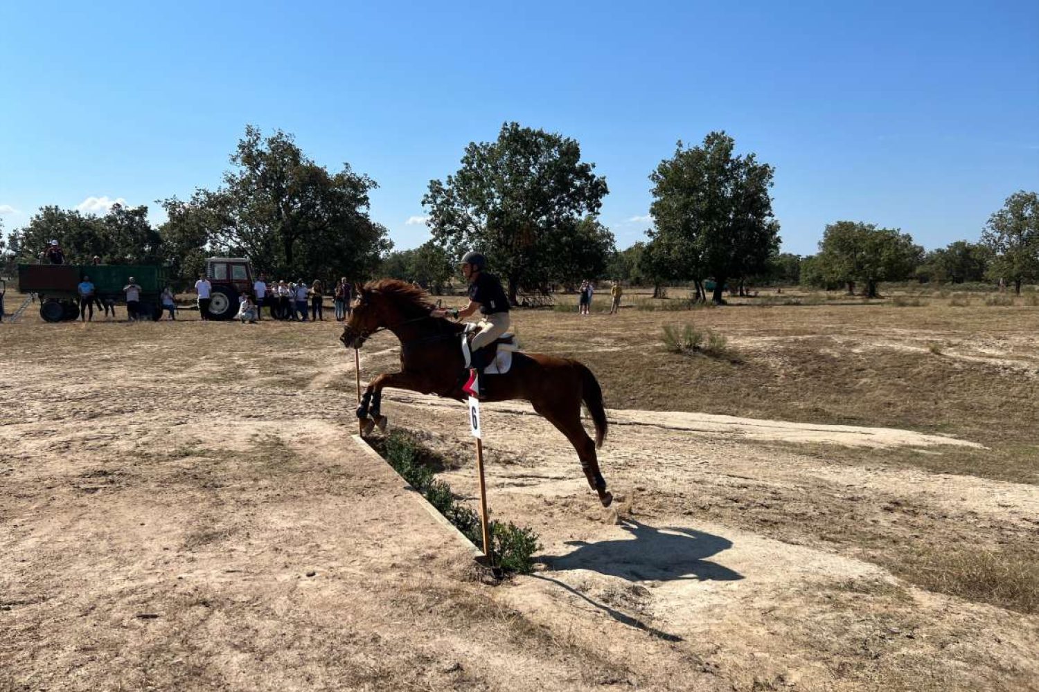 CURSO_EQUITACION4