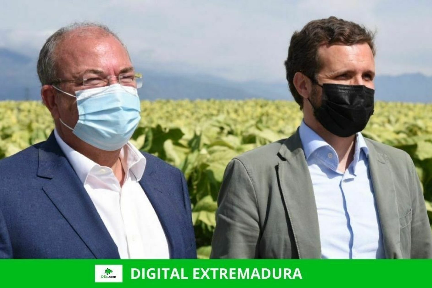 casado monago