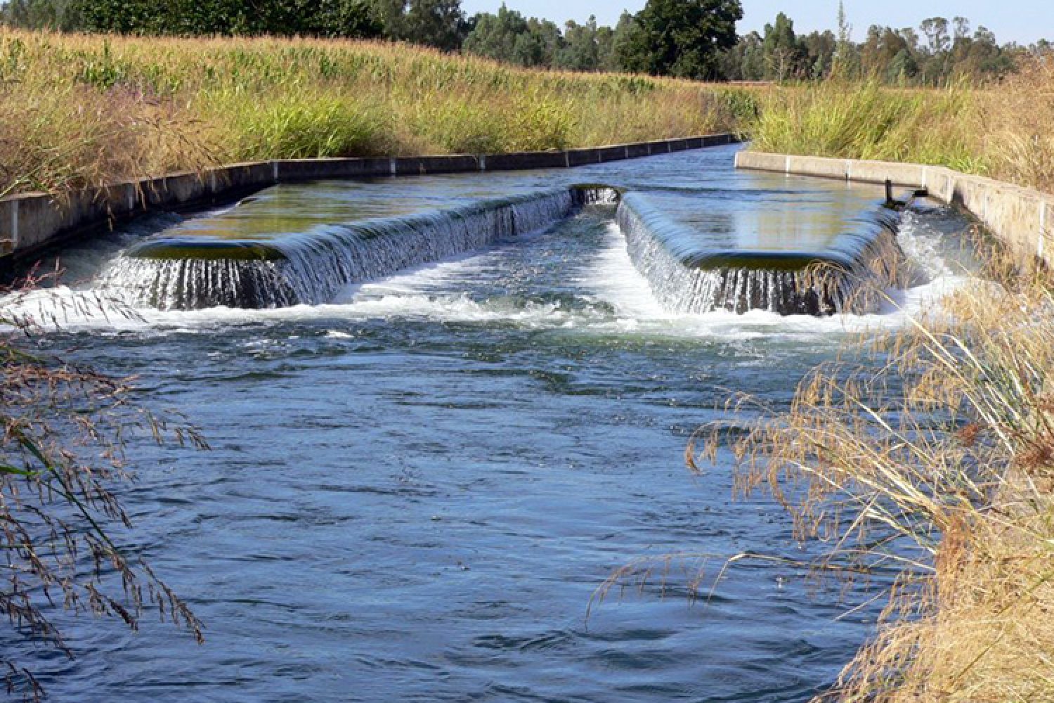 Canal-Orellana