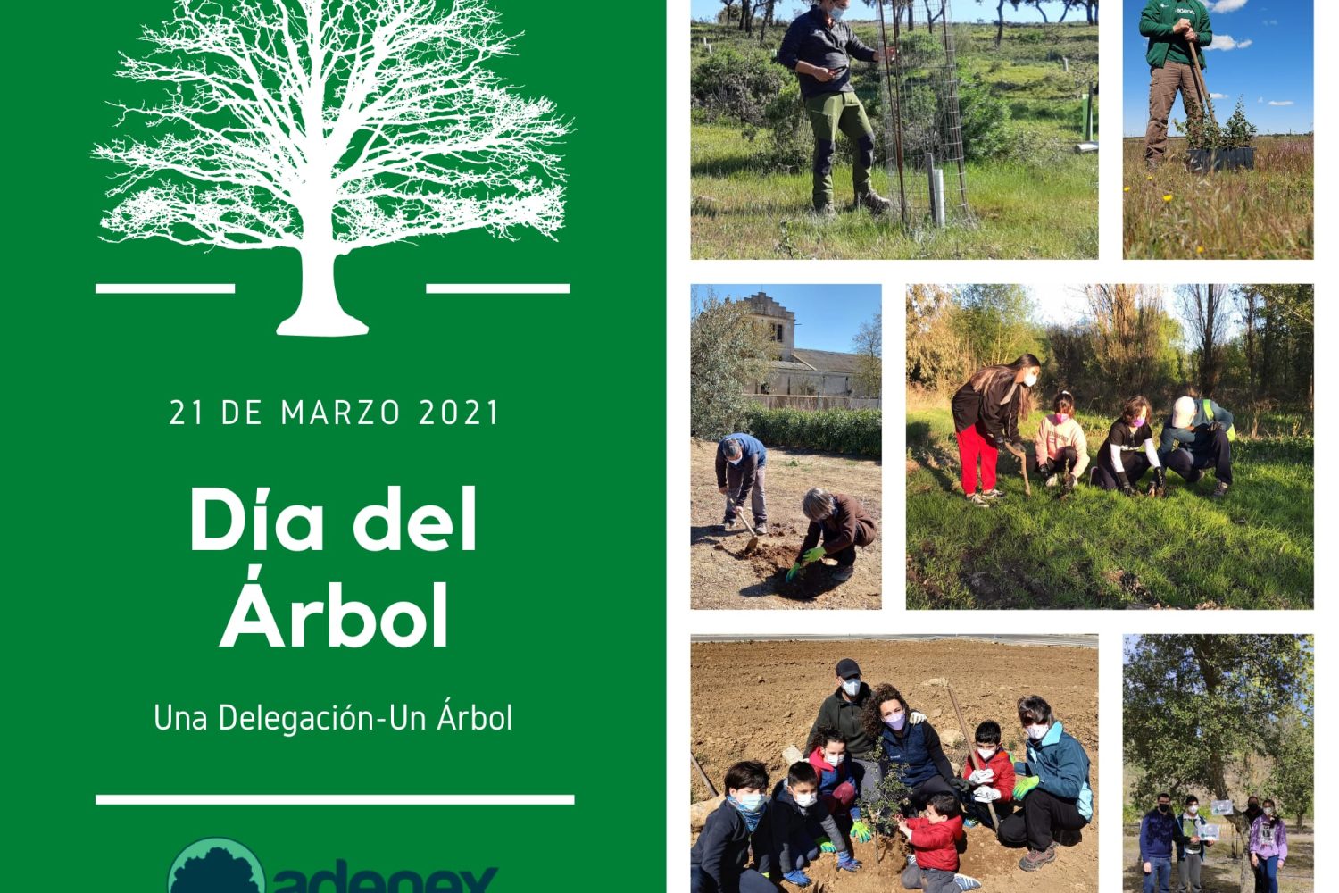 Cartel Día del Árbol