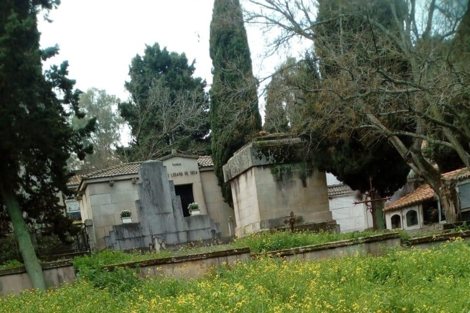 Cementerio 3