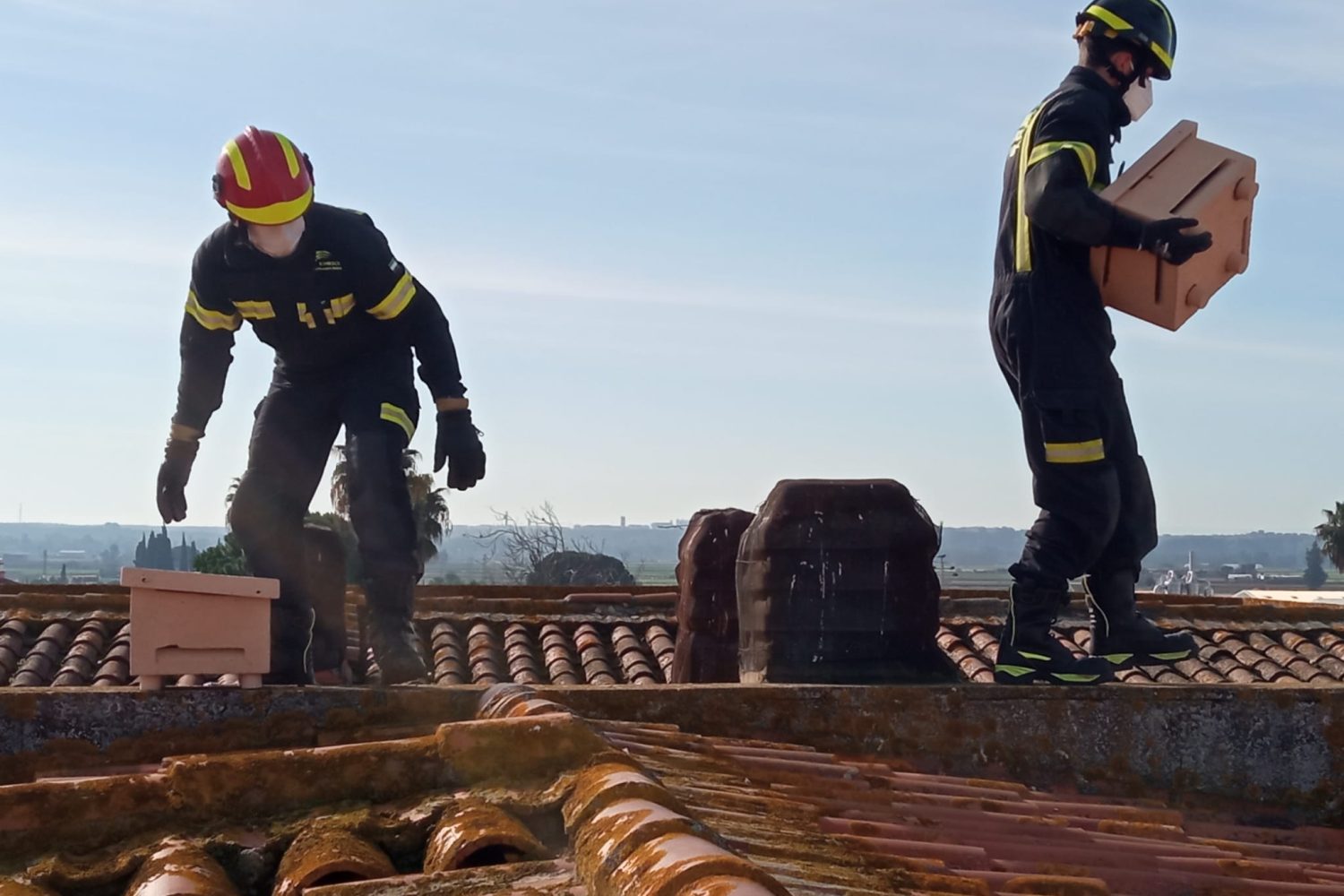 Colocación cajas nido cernícalo primilla Puebla de la Calzada-20210216-WA0008