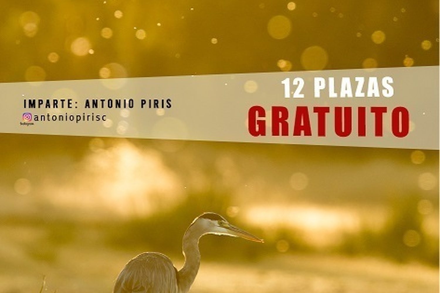 Curso_fotografia_1