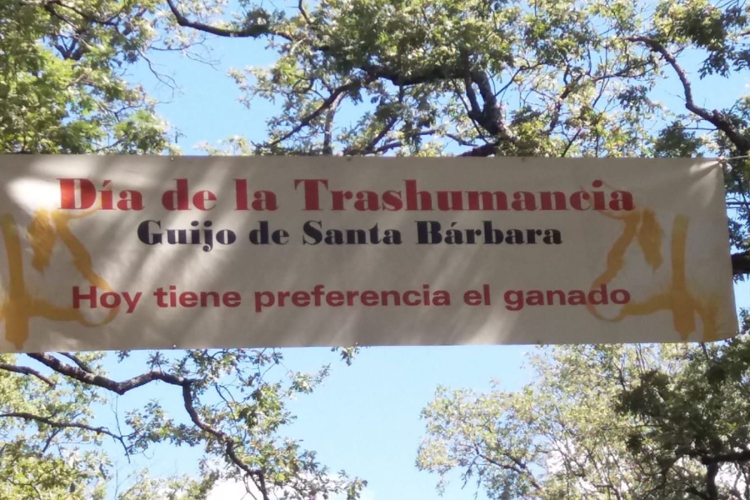 DIA_TRASHUMANCI_2019