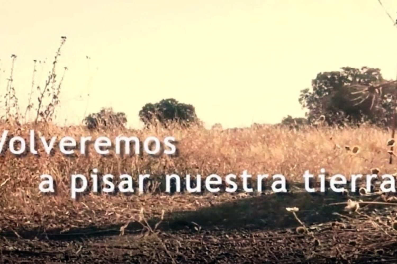 DIP BA CAMPAÑA VIDEOS DIA PROVINCIA