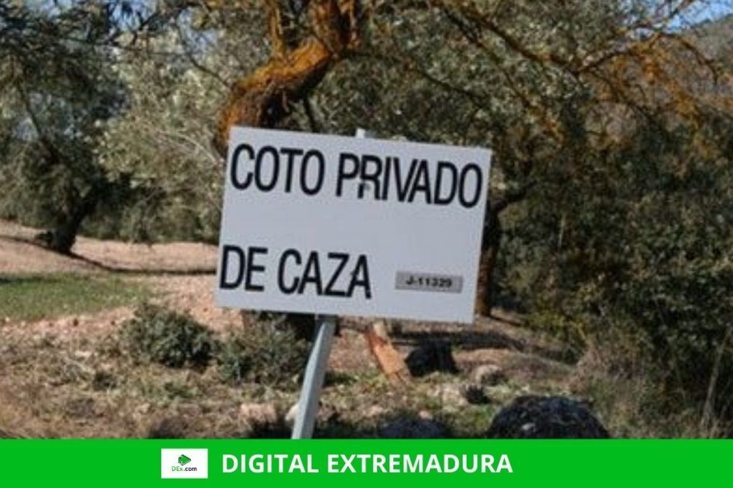 El Consejo Extremeño de Caza modifica la orden de veda de la tórtola y la equipara al resto de comunidades