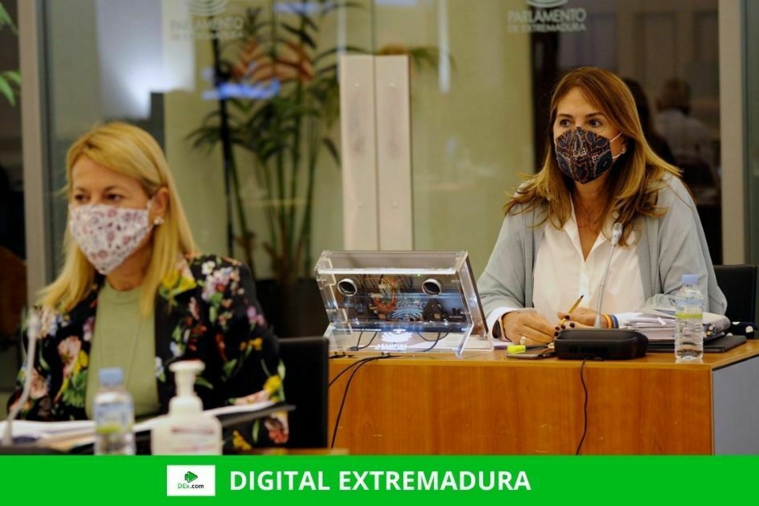 El PP considera que la comisión que propone el PSOE sobre las listas de espera del SES es una tapadera 