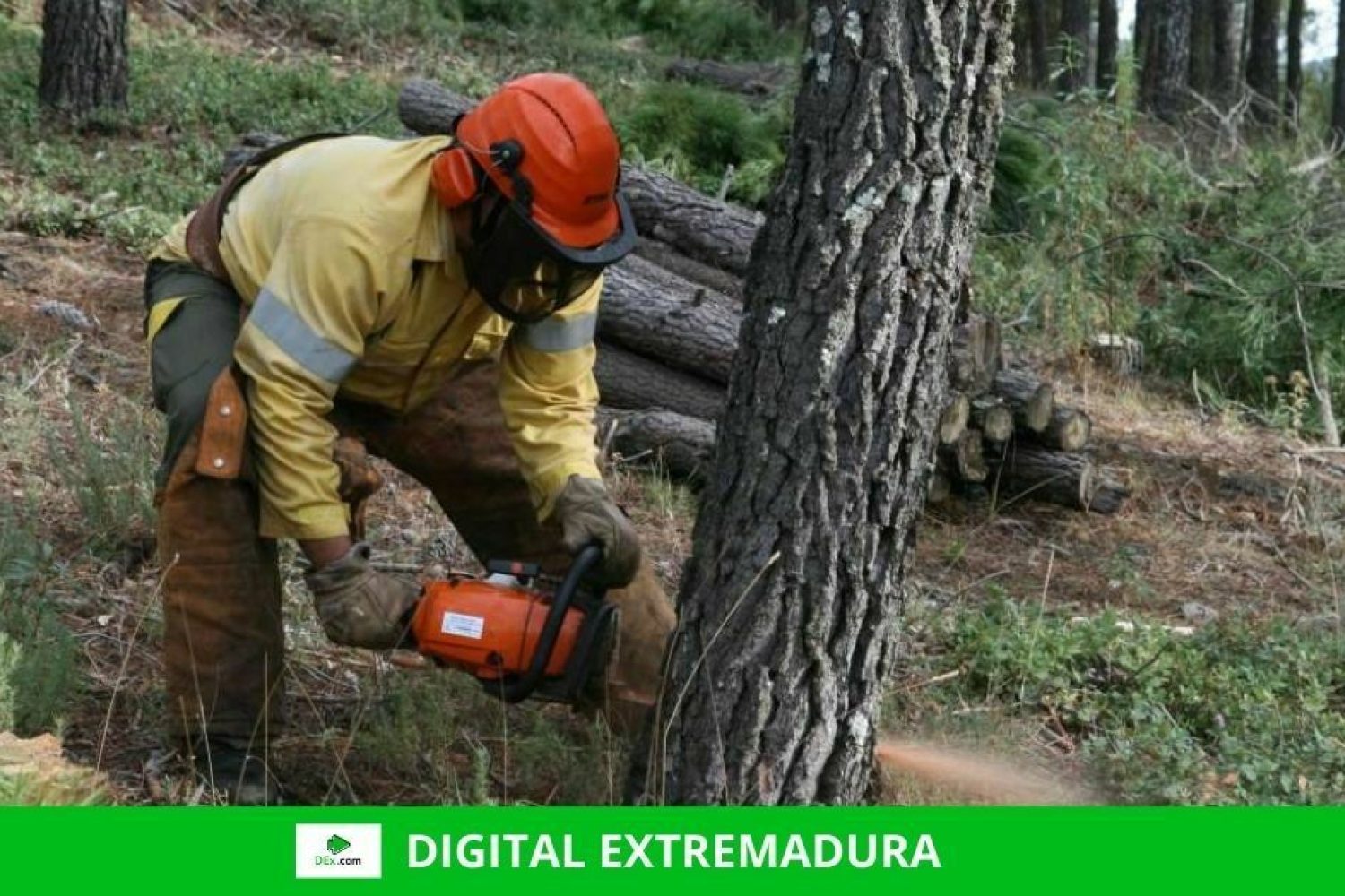 El Plan INFOEX interviene en 25 incendios forestales durante esta semana