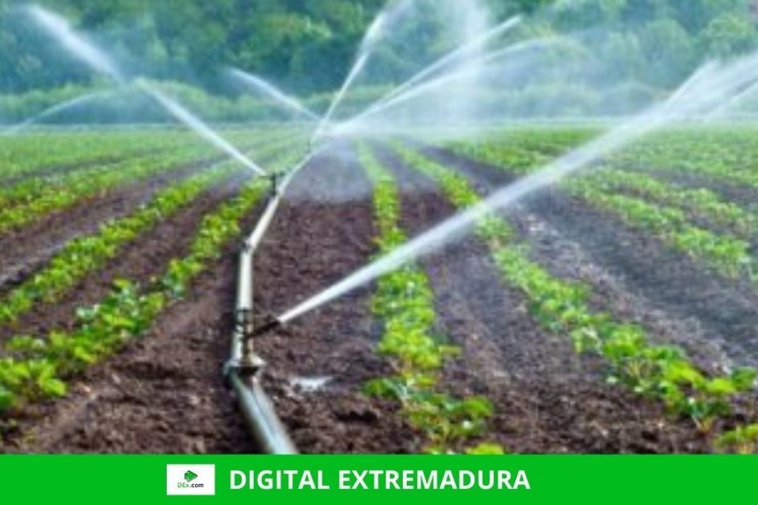 El agua y el sector agroalimentario