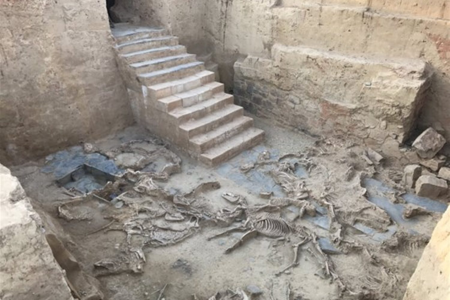 Excavaciones turuñuelo