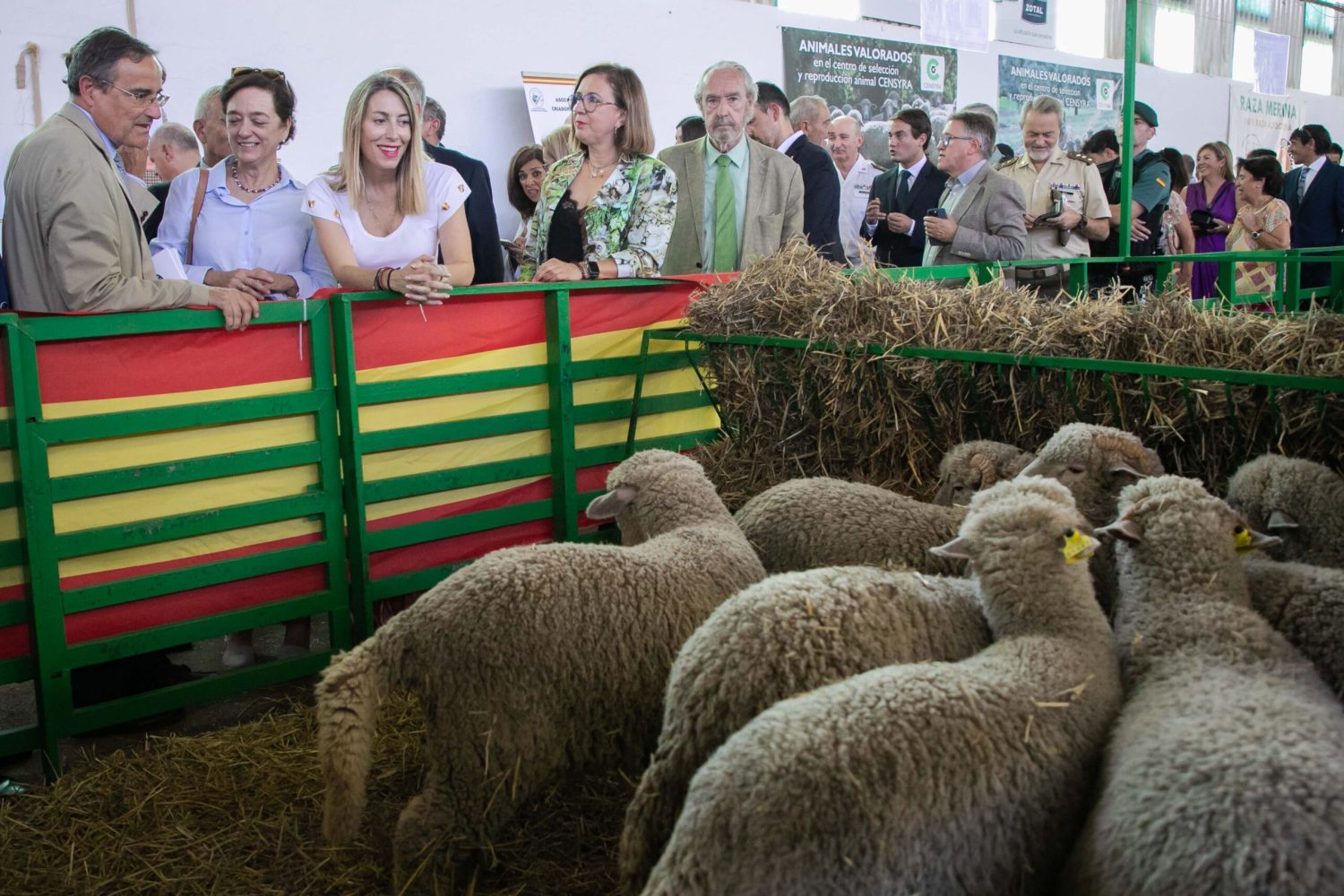 FERIA ZAFRA