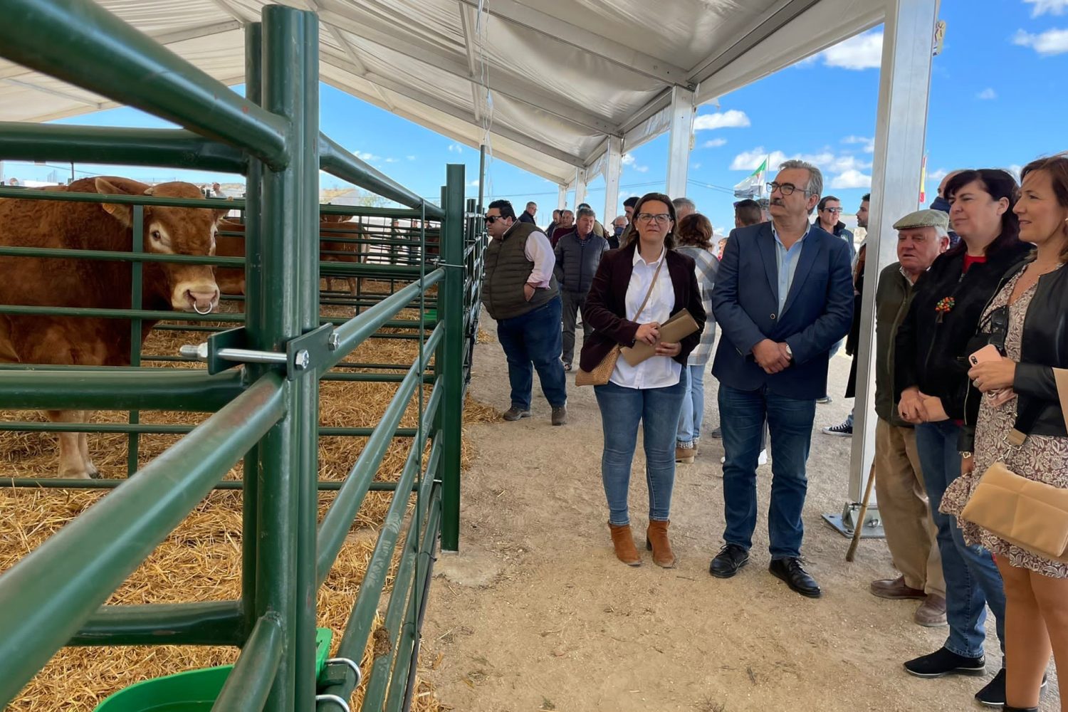 Feria_Agroganadera_de_Brozas