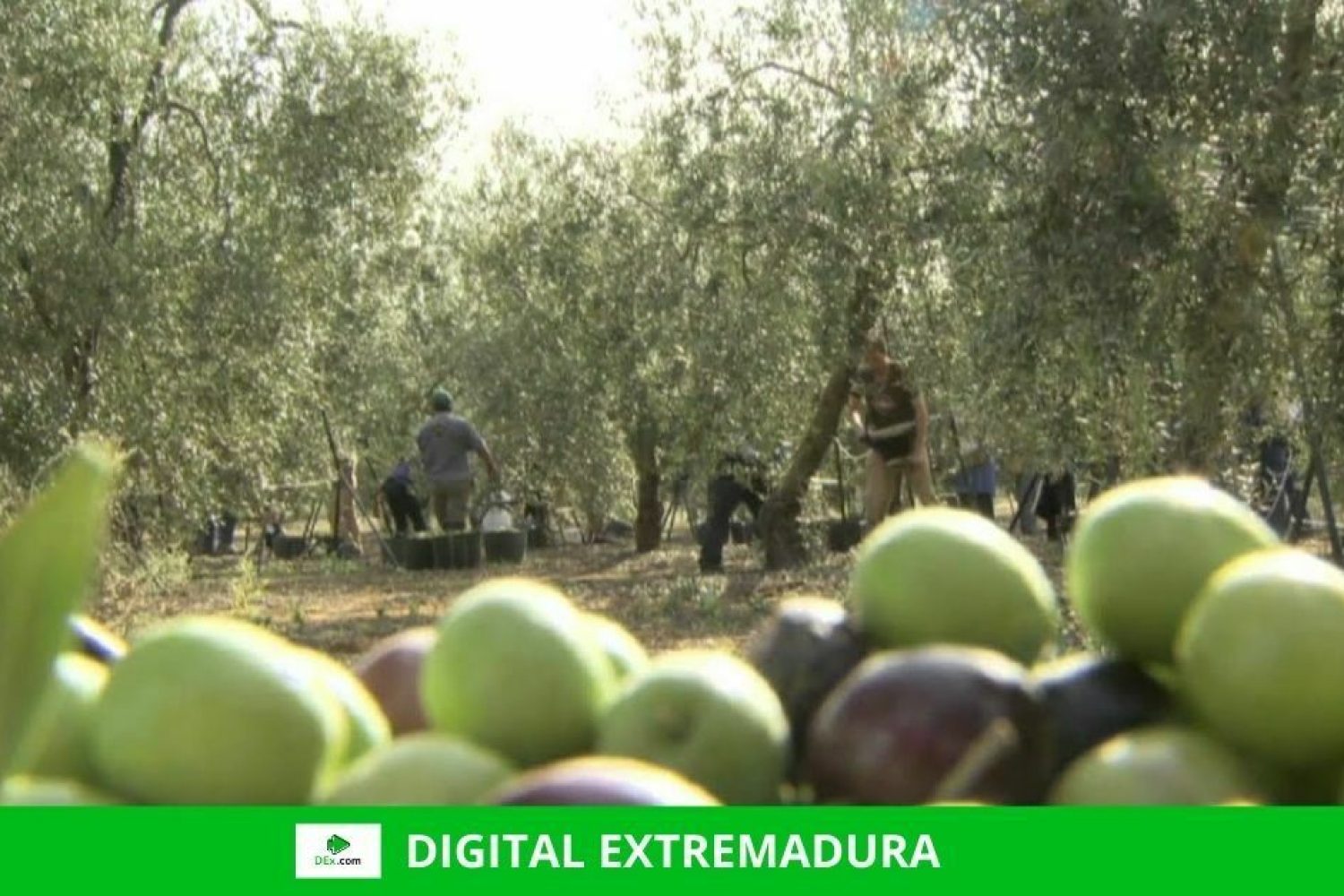 Firmado el convenio para analizar el sector cooperativista agroalimentario con vistas a desarrollar la estrategia autonómica