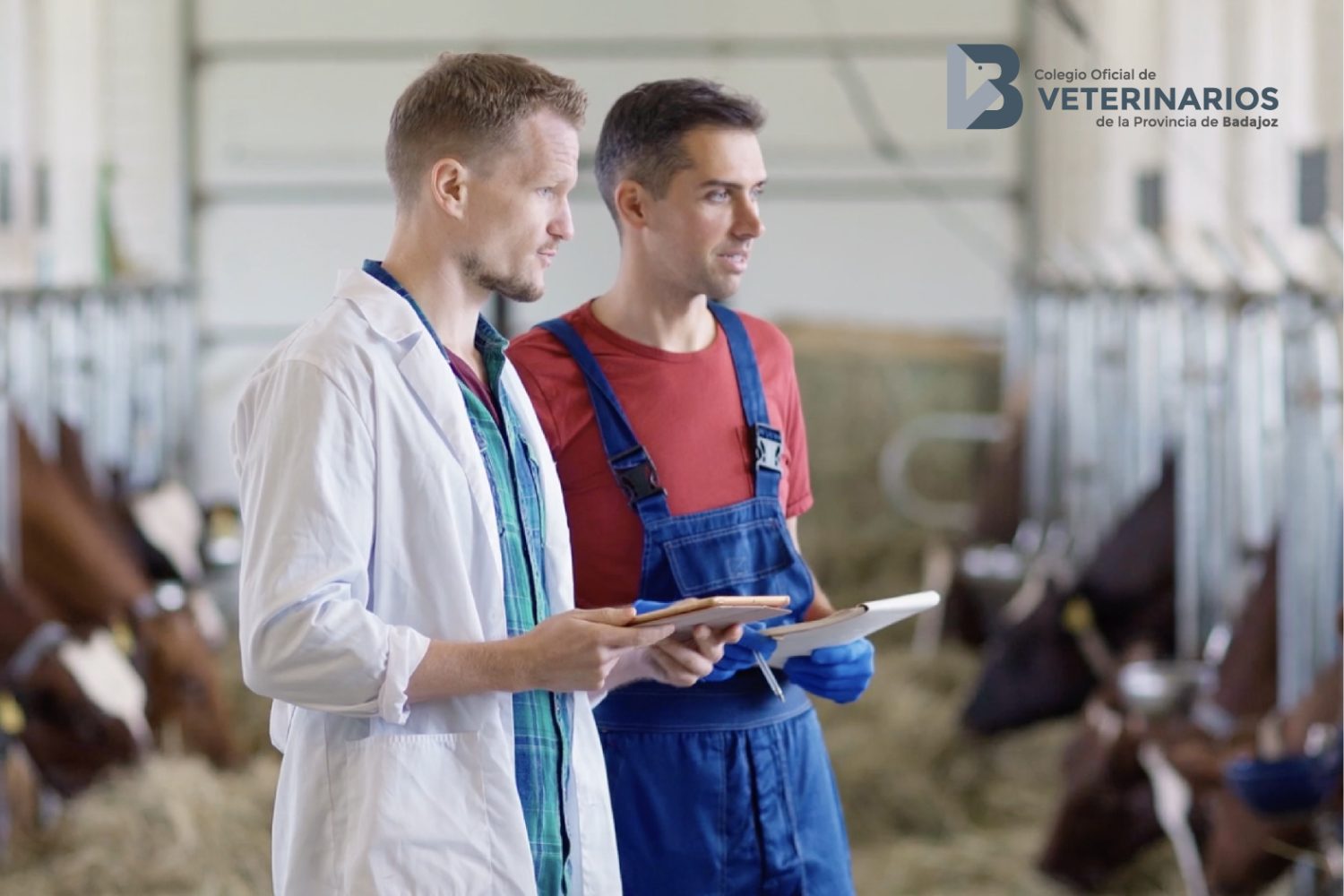 Foto Campaña Veterinarios y su aporte a la sociedad