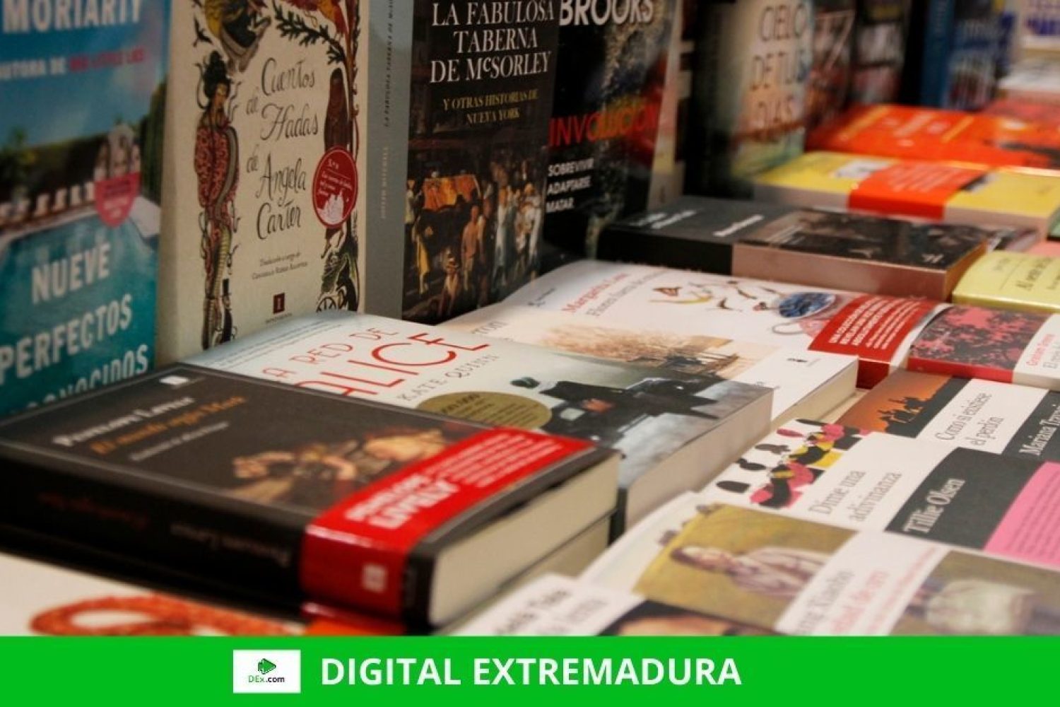 Foto-libros-2