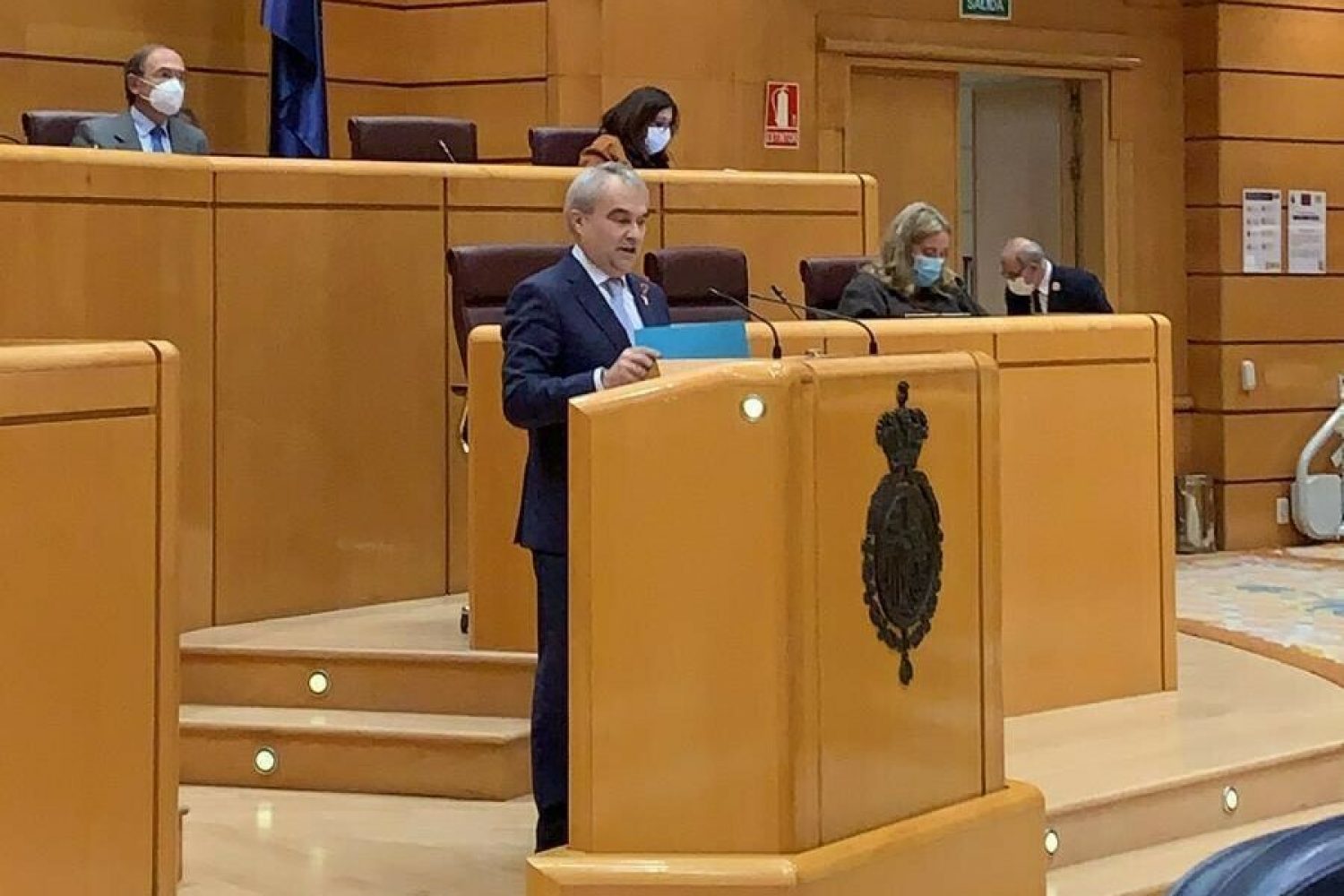 Fran Senado 8