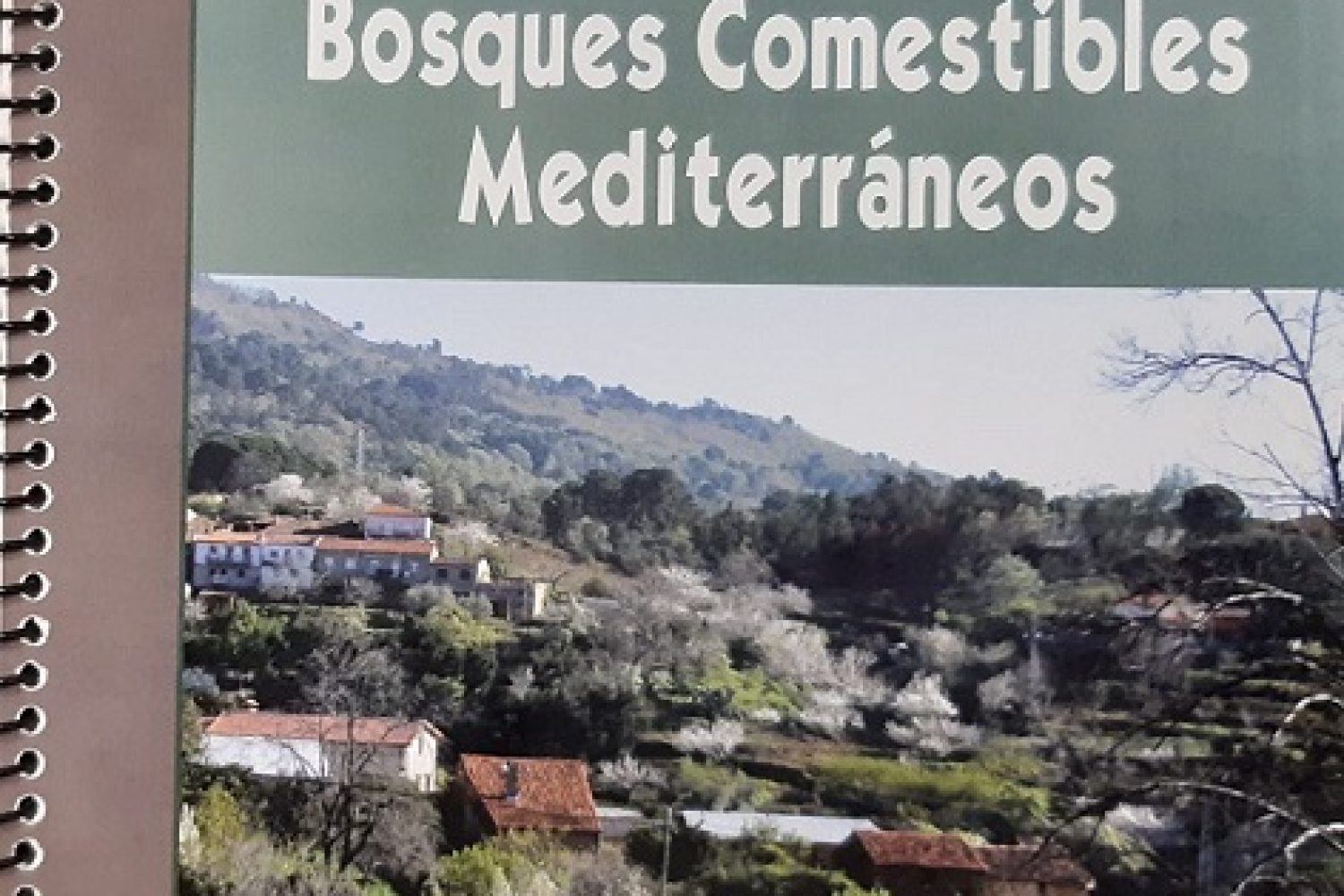 HD_1_Bosques_mediterraneos