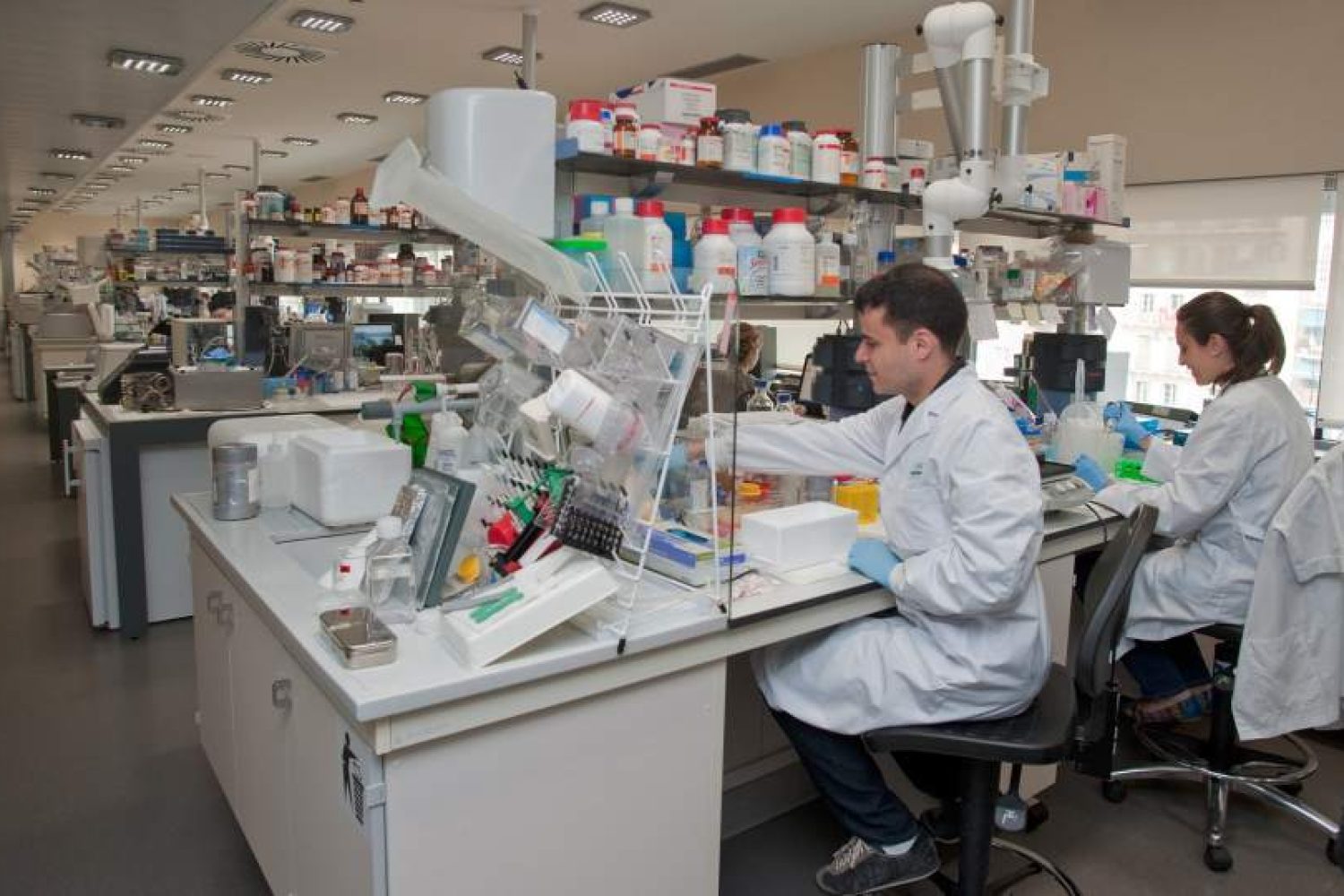 INVESTIGADORES