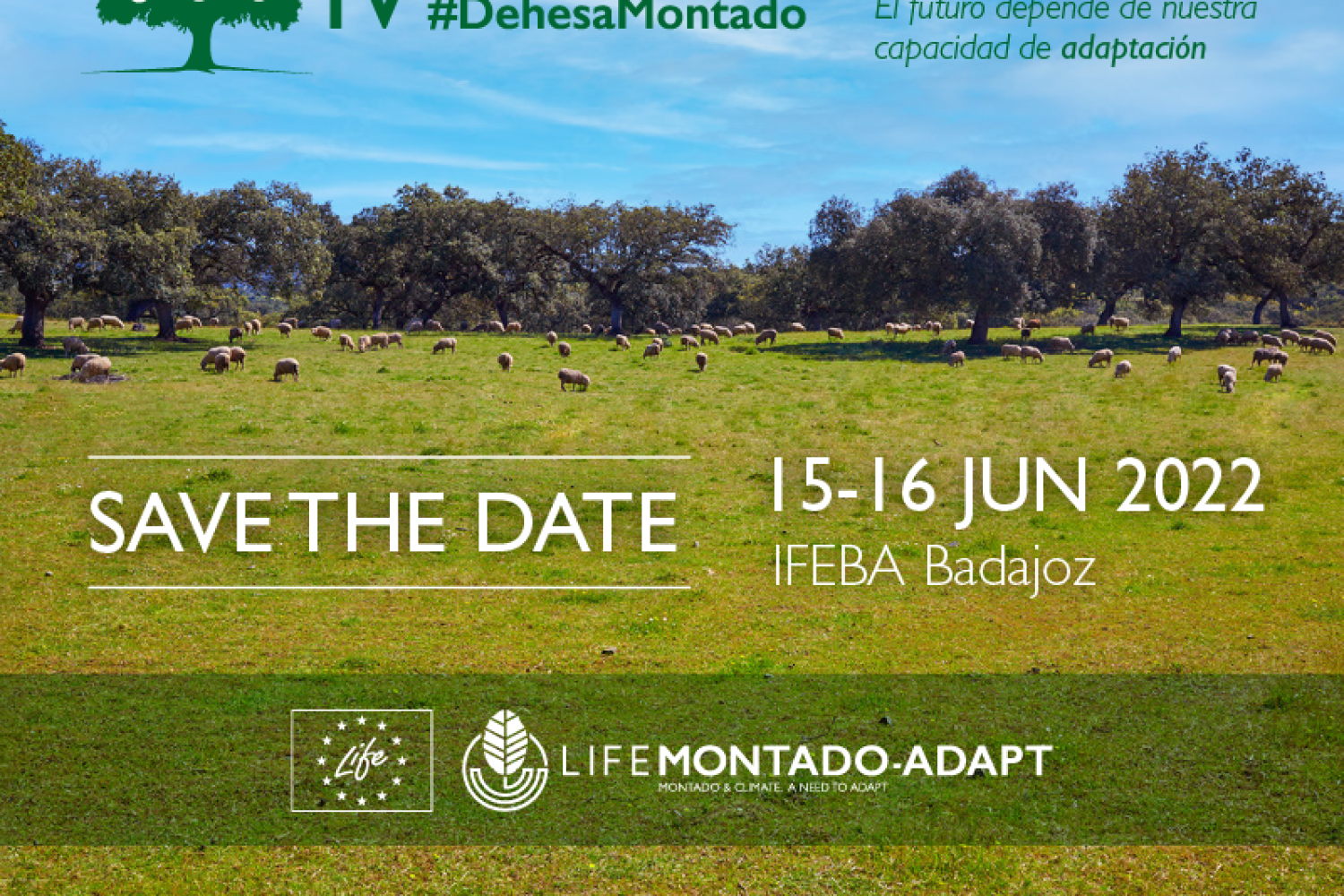 IV_congreso_dehesa