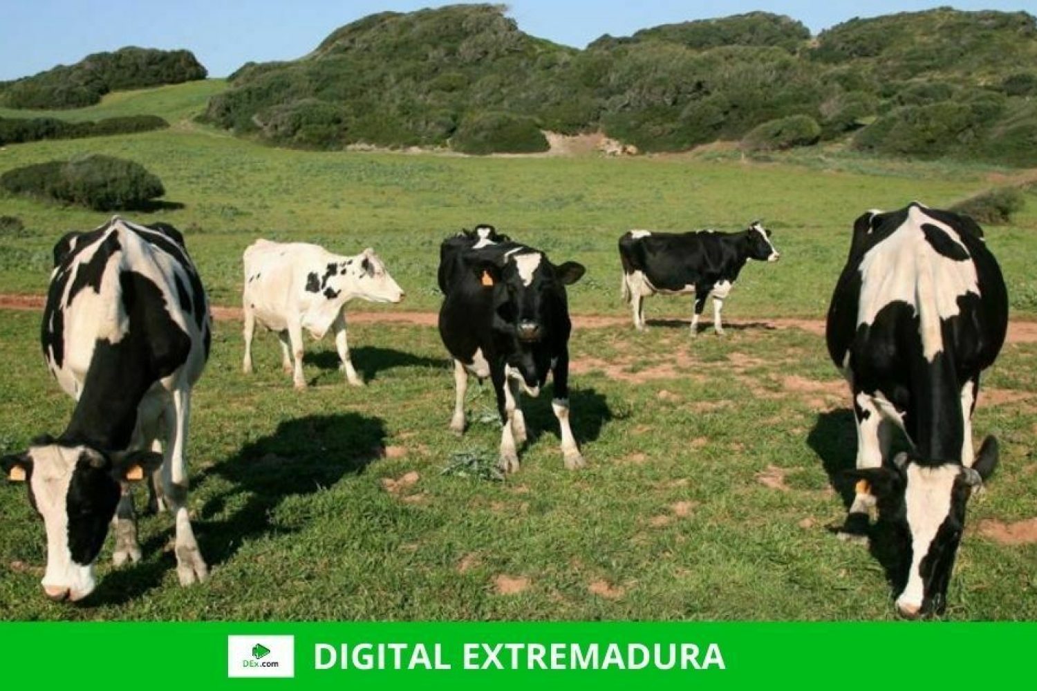 La Fundación Savia demanda agua para la ganadería extensiva