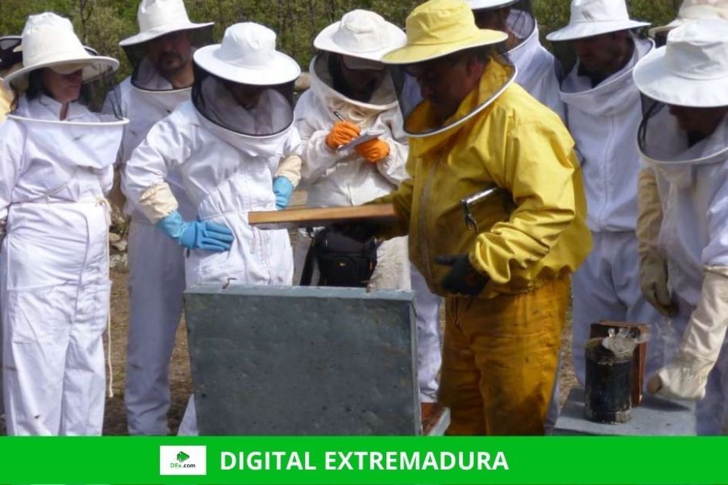 Las cooperativas y entidades de economía social de Extremadura pueden solicitar, desde este lunes, las ayudas para mantener y crear empleo