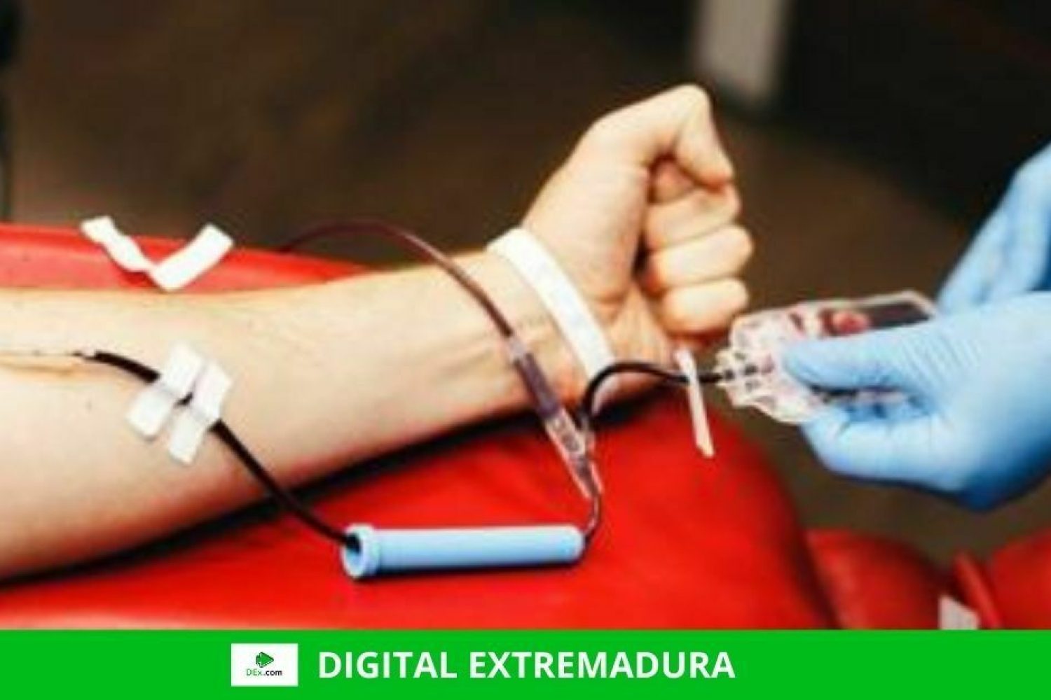 Los donantes de sangre podrán pedir cita previa en el teléfono 924314686