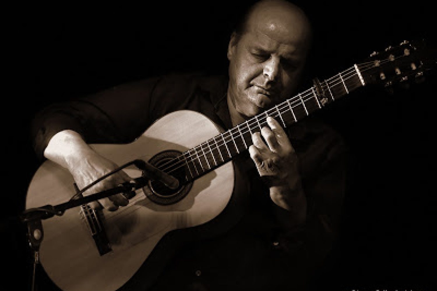 Miguel Vargas