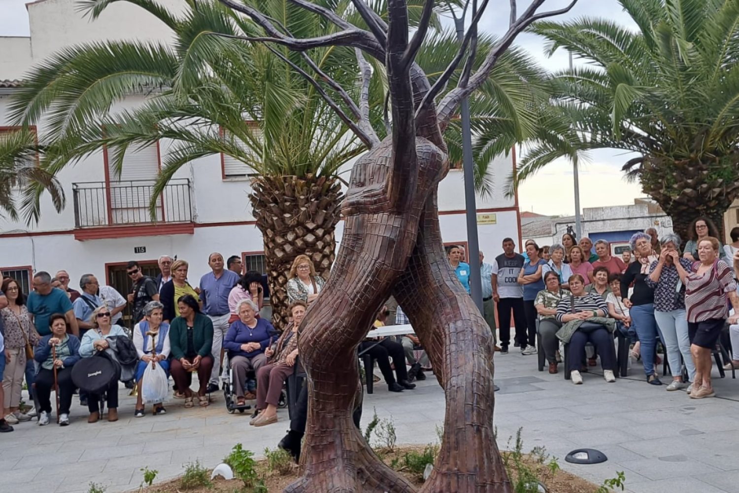 OLIVA y OLIVIO un abrazo ancestral _ obra de Santi Senso 6