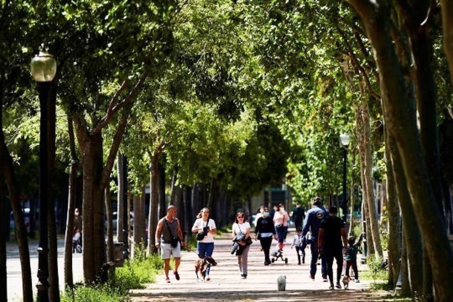 PASEO