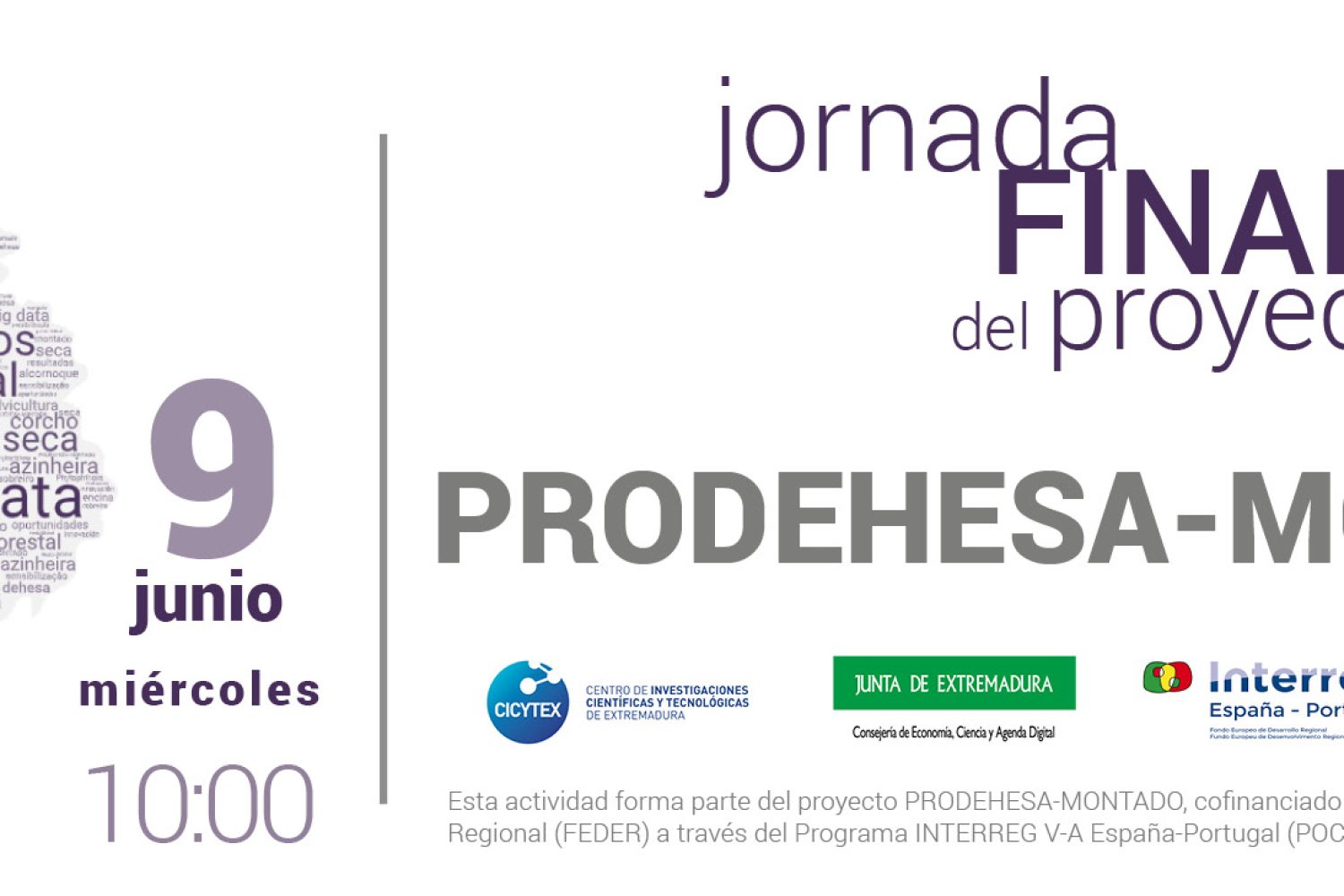 PRODEHESA_MONTADO