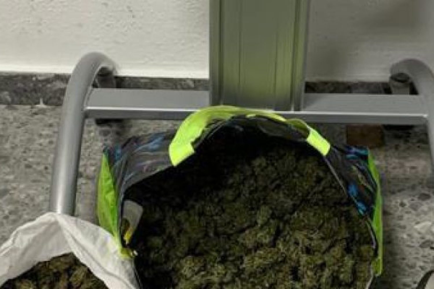 Policía-Local-se-incauta-cannabis-100596688